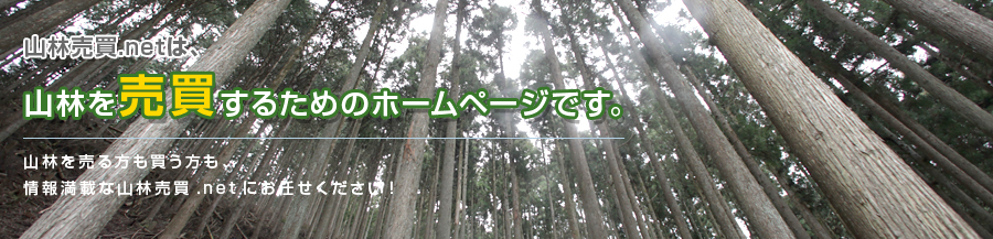 山林売買.netは山林を売買するためのホームページです。山林を売る方も買う方も、情報満載な山林売買.netにお任せください!