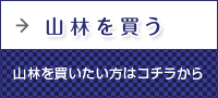 山林を買う