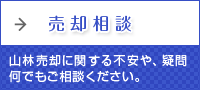 売却相談
