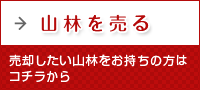 山林を売る