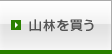 山林を買う