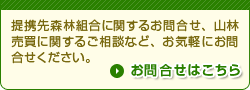 提携先森林組合に関するお問合せ、山林売買に関するご相談など、お気軽にお問合せください。